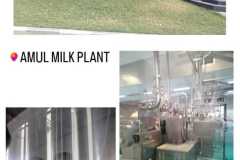 Industrial visit to Amul Dairy and NDDB